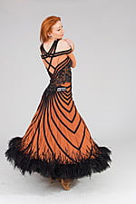 Smooth and Standard Dresses