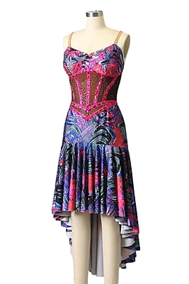 Fantastic Printed Latin Dance Dress